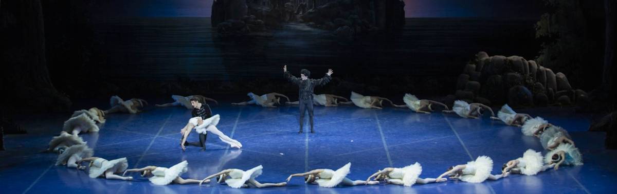 Swan Lake 29/12 - Teatro dell'Opera, Rome